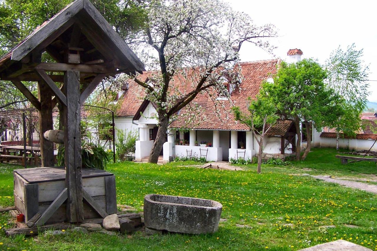 Count Kalnoky'S Transylvanian Guesthouses Miclosoara Ngoại thất bức ảnh