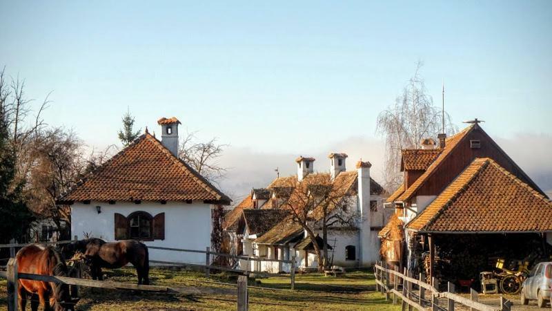 Count Kalnoky'S Transylvanian Guesthouses Miclosoara Ngoại thất bức ảnh